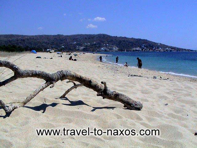 A view of Karades beach with the excelent imperial sand. NAXOS PHOTO GALLERY - KARADES