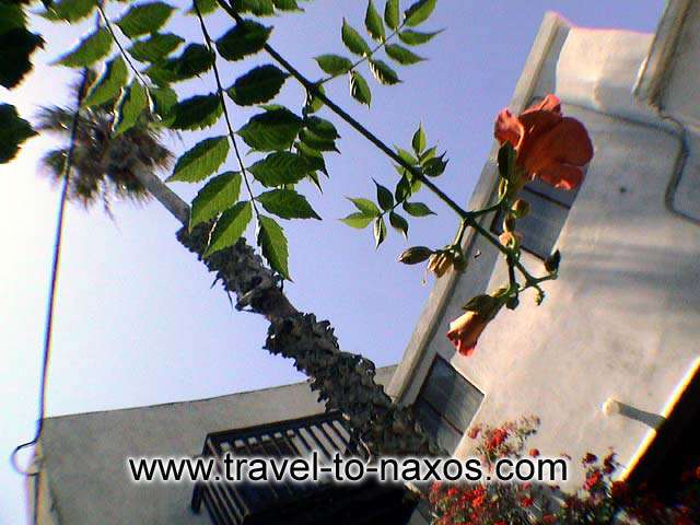 A part of a tradinional building in Chora. NAXOS PHOTO GALLERY - CHORA CASTLE