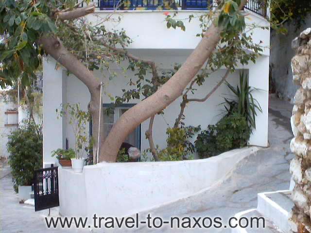 SMALL LADY GARDEN - A picture of the daily life of the habitants of Naxos.