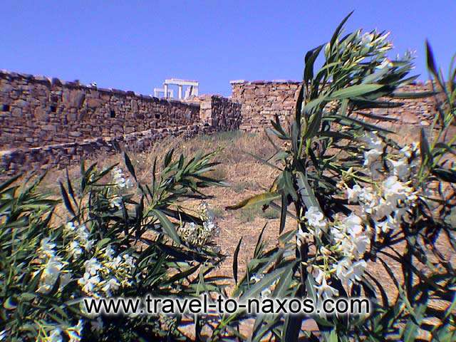 THE TEMPLE OF DIMITRA AT SAGRI - The temple of Dimitra is found at the place Gyroulas, near to the village Sagri.