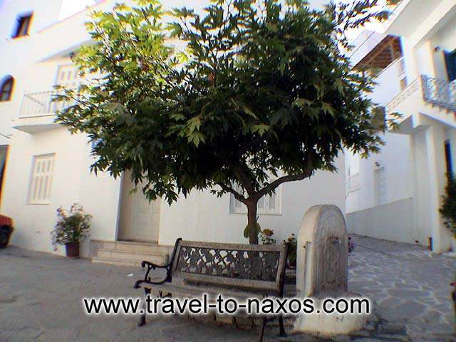 A nice spot in Naxos town. Relax under the shadow of a tree. NAXOS PHOTO GALLERY - BOURGOS