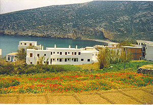 ADONIS  HOTELS IN  Apollonas Naxos Cyclades islands