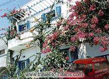 SOFI PENSION STUDIOS IN  CHORA NAXOS