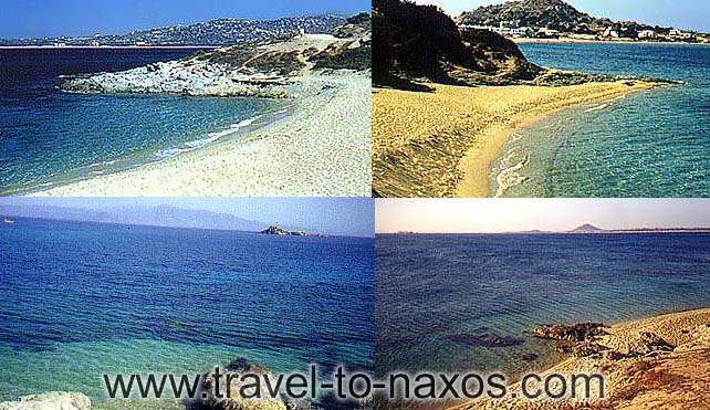 CLICK TO VIEW ACTUAL PHOTO SIZE